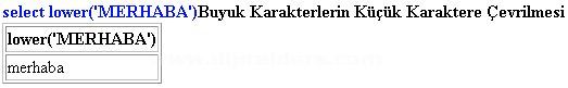 Başlıksız İ&ccedil;erik______________________