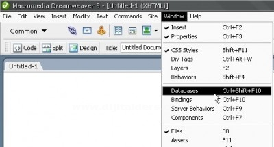 Database Paneli