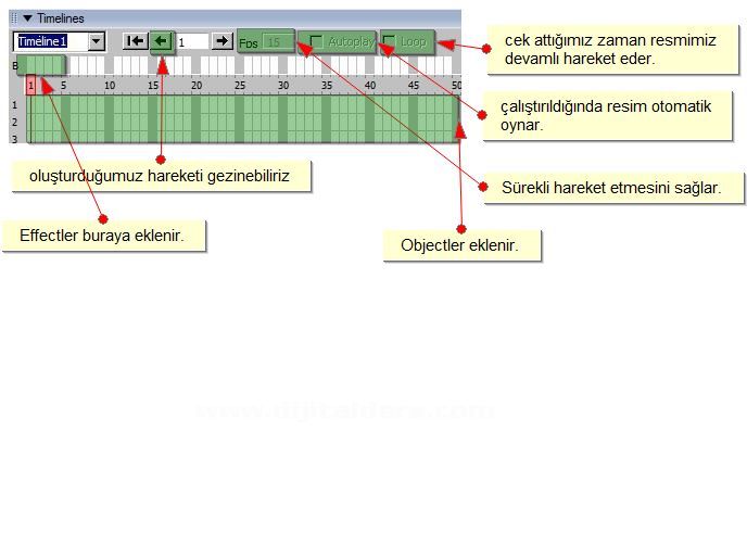 Timeline