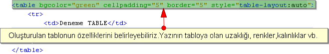 Outlines, Padding, Positioning, Table, Text, Pseudo-classes, Pseudo-elements