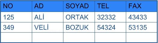Veritabanı Nedir?