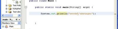 Java Escape Sequence Kullanımları