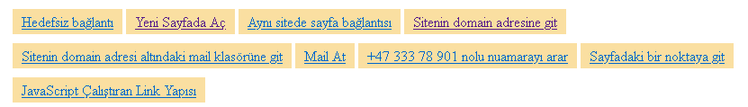 UL Tagı Nasıl Kullanılır?